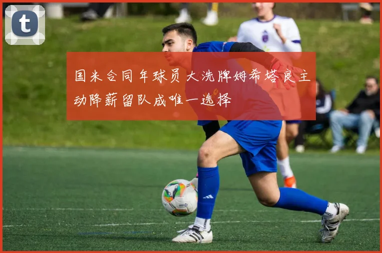 国米合同年球员大洗牌姆希塔良主动降薪留队成唯一选择