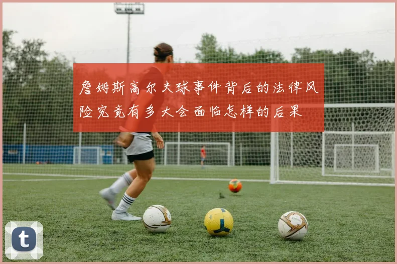 詹姆斯高尔夫球事件背后的法律风险究竟有多大会面临怎样的后果