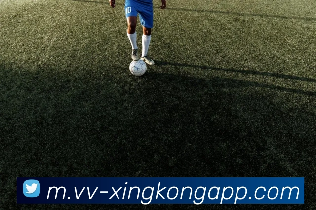 App 展示图